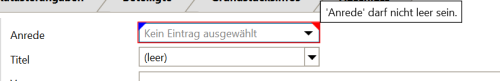 Beispiel für den roten Rahmen eines nicht ausgefüllten Pflichtfeldes